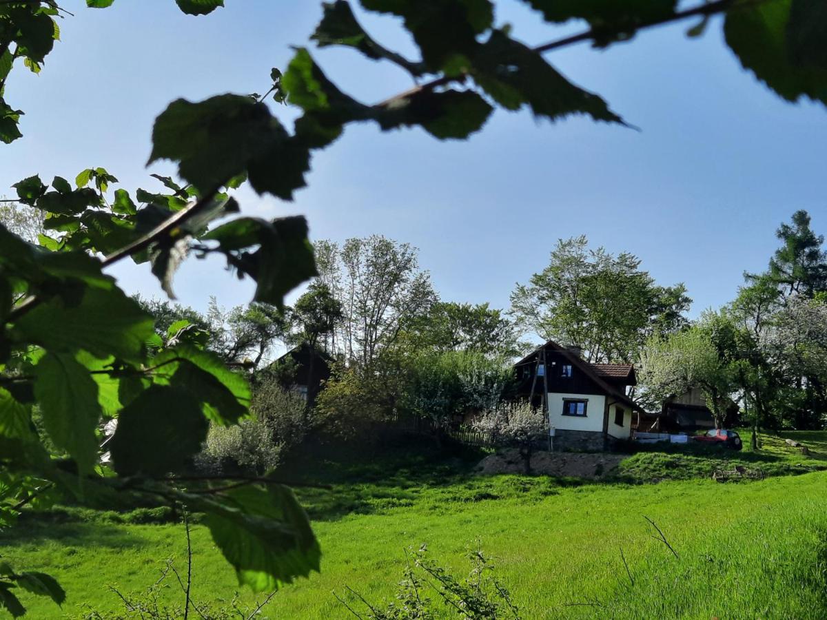 Holiday home Siedlisko Na Groniku Kokuszka