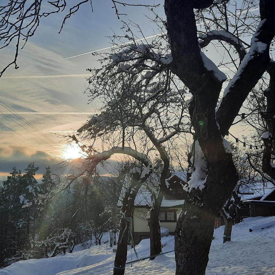 Siedlisko Na Groniku Holiday home