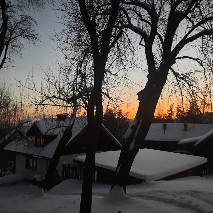 Siedlisko Na Groniku * Kokuszka
